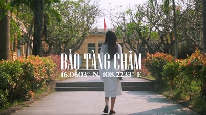 DANANG - TIMELESS (CINEMATIC TRAVEL VIDEO)