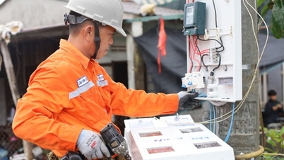 Bên bán điện phải bảo đảm tính chính xác của chỉ số điện năng đã ghi
