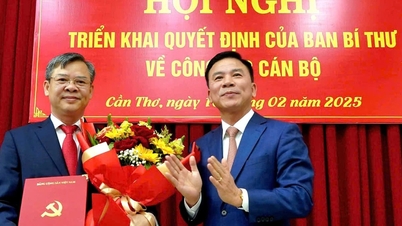 លោក Truong Canh Tuyen ត្រូវបានតែងតាំងជាអនុលេខាគណៈកម្មាធិការបក្សទីក្រុង Can Tho។