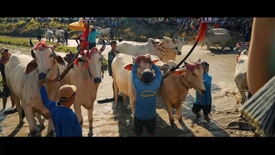 Seven Mountains Bull Racing - ការតភ្ជាប់នៃតម្លៃមួយ។