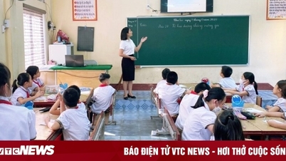 In what cases are teachers allowed to tutor elementary school students?