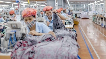 Extracting added value, establishing AmCham-style association to expand US market