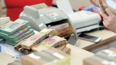 Financial Inspectorate recommends handling nearly 14,000 billion VND
