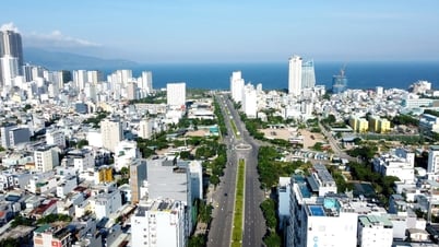 Financial Center of Ho Chi Minh City, Da Nang: Proposing many outstanding policies