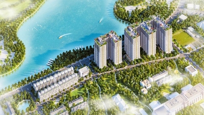 Hanoi recupera casi 1.000 metros cuadrados de terreno en Long Bien devueltos por la compañía Him Lam