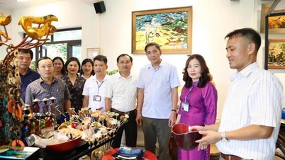 ភូមិសិប្បកម្មជាច្រើននៅក្នុងស្រុក Thuong Tin កំពុងធ្វើដំណើរក្នុងទិសដៅត្រឹមត្រូវ។