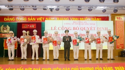 ប៉ូលីសខេត្ត Quang Ninh៖ ថ្នាក់ដឹកនាំថ្នាក់នាយកដ្ឋានចំនួន ៩ និងសមមូលបានស្ម័គ្រចិត្តសុំចូលនិវត្តន៍មុនអាយុកំណត់