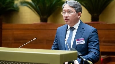 특수한 경우의 법률문서의 공포에 관한 규정 보완