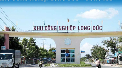ការវិនិយោគលើការសាងសង់ហេដ្ឋារចនាសម្ព័ន្ធនៃសួនឧស្សាហកម្ម Long Duc, Dong Nai