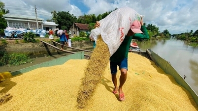 Xuất khẩu gạo và câu chuyện đa dạng hóa thị trường