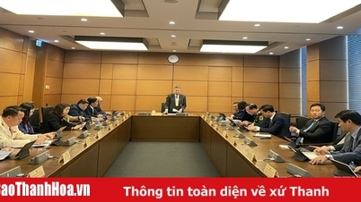 Need to clarify the organizational structure of the Nationalities Council and Committees of the National Assembly