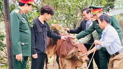 Tặng bò giống cho gia đình thanh niên đi bộ đội có hoàn cảnh khó khăn
