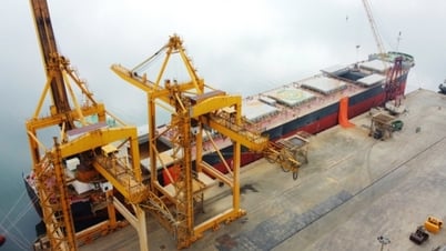 Hoạt động cảng biển nhộn nhịp đầu năm