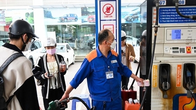 Gasoline prices increased slightly from the afternoon of February 13
