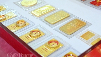 Giá vàng miếng và vàng nhẫn hôm nay (13/02): Tăng mạnh