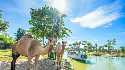 ตั้งแต่วันที่ 15 กุมภาพันธ์ VinWonders Nam Hoi An ลดราคาตั๋วเพื่อขอบคุณนักท่องเที่ยวในท้องถิ่น