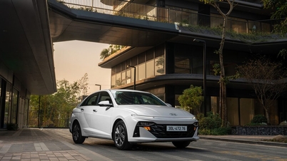 TC Group thông báo kết quả bán hàng Hyundai tháng 1/2025 – Tập đoàn Thành Công