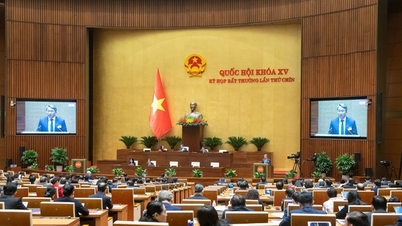 Proposal to complete the arrangement of deputy level within 5 years at the latest