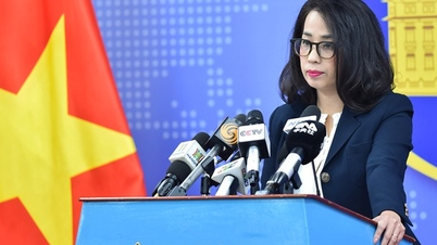 វៀតណាម​ត្រៀម​ខ្លួន​ចូល​រួម​កិច្ច​ខិត​ខំ​ប្រឹង​ប្រែង​អន្តរជាតិ​ដោះស្រាយ​ជម្លោះ​រុស្ស៊ី