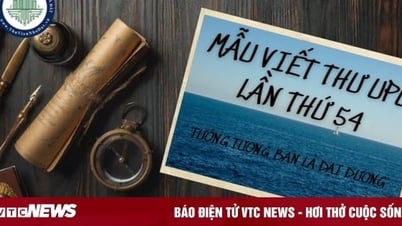 Tưởng tượng bạn là đại dương