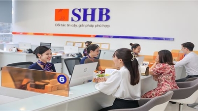 SHB, 배당금 지급권 마감…연초 주주들에게 희소식