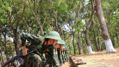 Chèo lái những “chuyến đò” đặc biệt