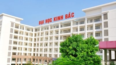 ‘Phó hiệu trưởng’ Trường đại học Kinh Bắc đã nộp lại bằng thạc sĩ do bị thu hồi