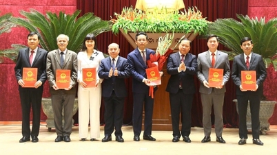 Organization of the political system of Hoa Binh province after the reorganization