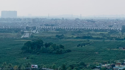 ហាណូយ ប្រគល់ដី 19,389.8m2 ឱ្យស្រុក Thuong Tin សម្រាប់ការដេញថ្លៃដី
