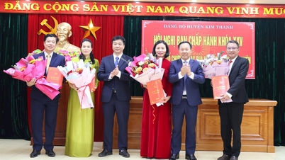 5 officers from departments in Kim Thanh asked for early retirement