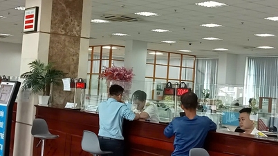 What does the Ho Chi Minh City Tax Department say about scams?
