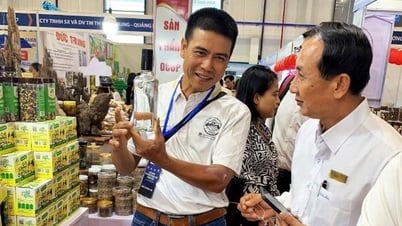 ឆ្នាំ 2025 លោក Thang Binh ខិតខំមានផលិតផល OCOP លំដាប់ផ្កាយ 1-2