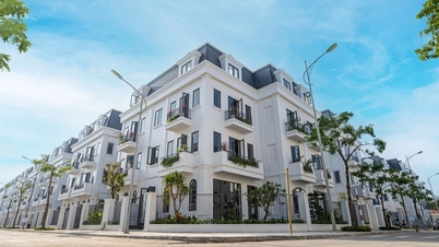Tầm nhìn bền vững tại dự án Solasta Mansion