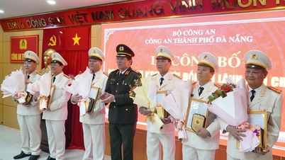 ប្រធាននាយកដ្ឋានប៉ូលីសចរាចរណ៍ និងថ្នាក់ដឹកនាំប៉ូលីស Da Nang ចំនួន ១៤រូប ចូលនិវត្តន៍មុនកាលកំណត់