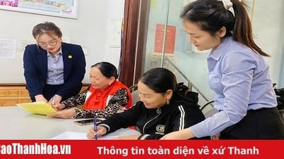 금융 솔루션은 지속 가능한 개발을 촉진합니다