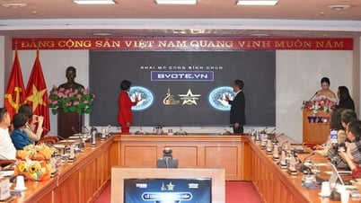Mở rộng quy mô sang Thể thao