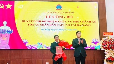 ការតែងតាំងអនុប្រធានតុលាការប្រជាជនជាន់ខ្ពស់នៅទីក្រុង Da Nang