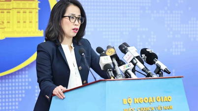Việt Nam sẵn sàng tham gia nỗ lực quốc tế giải quyết xung đột Nga-Ukraine