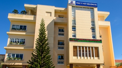 ក្រុមហ៊ុន​វារីអគ្គិសនី Dong Nai សម្រេចបាន​សមិទ្ធផល​គួរ​ជាទី​មោទនៈ​ជា​ច្រើន​បន្ទាប់ពី​រយៈពេល ១៤ ឆ្នាំ...