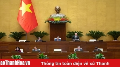 Hôm nay, trình Quốc hội cơ chế đặc thù xây dựng Dự án Điện hạt nhân Ninh Thuận