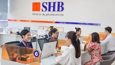 SHB closes dividend payment rights, 'prosperous' beginning of the year to shareholders