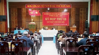 គណៈកម្មាធិការប្រជាជនស្រុក Nam Tra My មាននាយកដ្ឋានជំនាញចំនួន ១០ ដែលនៅសេសសល់បន្ទាប់ពីរៀបចំឡើងវិញ។