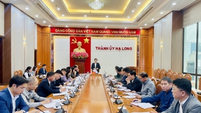 ហាឡុង៖ កំណត់កាត់បន្ថយវឌ្ឍនភាពនៃការអនុវត្តគម្រោង និងពេលវេលាដោះស្រាយនីតិវិធីរដ្ឋបាល