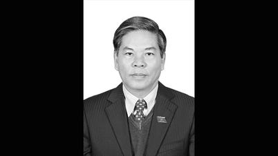 Falleció el ex ministro de Recursos Naturales y Medio Ambiente Nguyen Minh Quang.