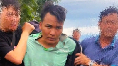 Prisoner who broke through wall to escape from detention center has just been arrested in Ninh Thuan forest