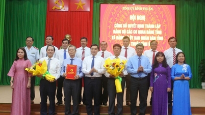 Binh Thuan បានបង្កើតគណៈកម្មាធិការបក្សចំនួន២ ក្រោមគណៈកម្មាធិការបក្សខេត្ត