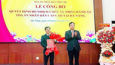 The High People's Court in Da Nang has a new Deputy Chief Justice.