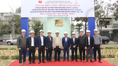 Gắn biển và đưa vào vận hành Mạch 2 đường dây 110kV An Đồn, quận 3 - Chào mừng kỷ niệm 50 năm Ngày giải phóng thành phố Đà Nẵng (29-3-1975 - 29-3-2025)
