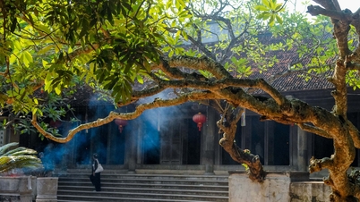 តំបន់ខាងវិញ្ញាណ