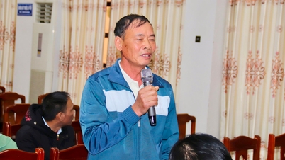 Thanh Mien will forcibly reclaim land to implement a new urban area project.